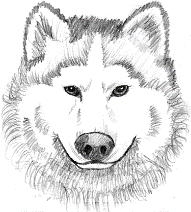 Mascot Logo  